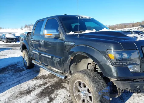 2010 Ford F-150 Fx4/Harley-Davidson/King Ranch/Lariat/Platinum/Xl/Xlt z USA, uszkodzony, nr VIN 1FTFW1EV7AFD67544